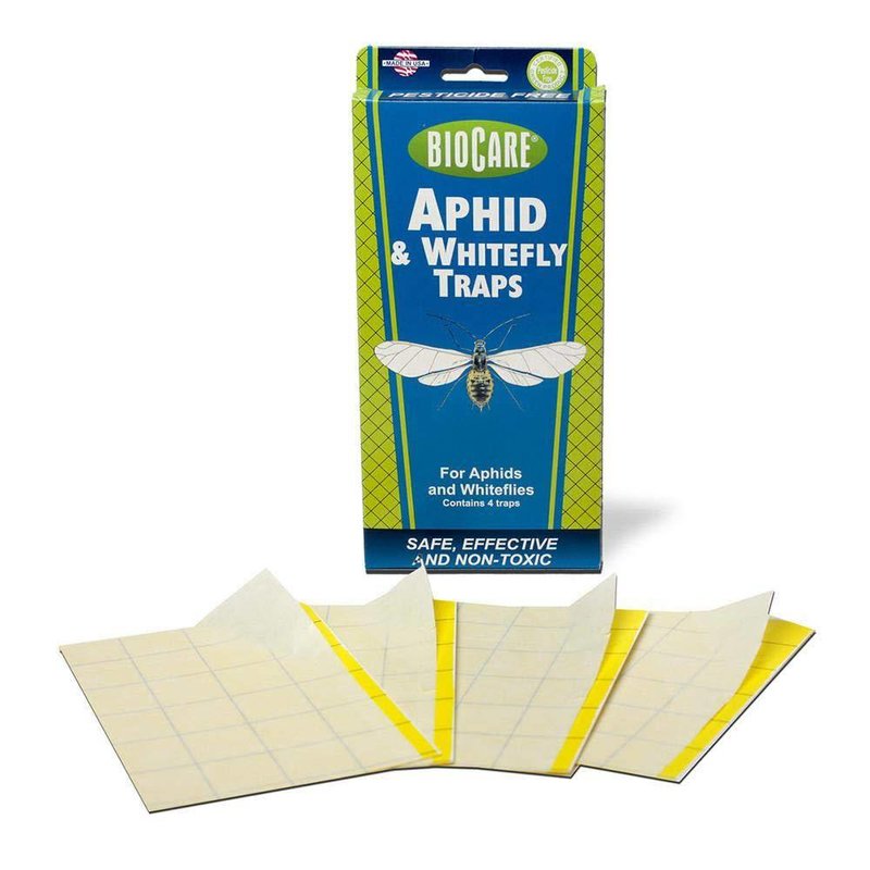 Bio Aphid & Whitefly Trap 4 Pk