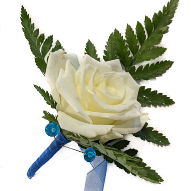 Boutonnière : White Rose w/ Blue
