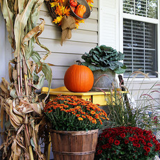 Fall Porch Package