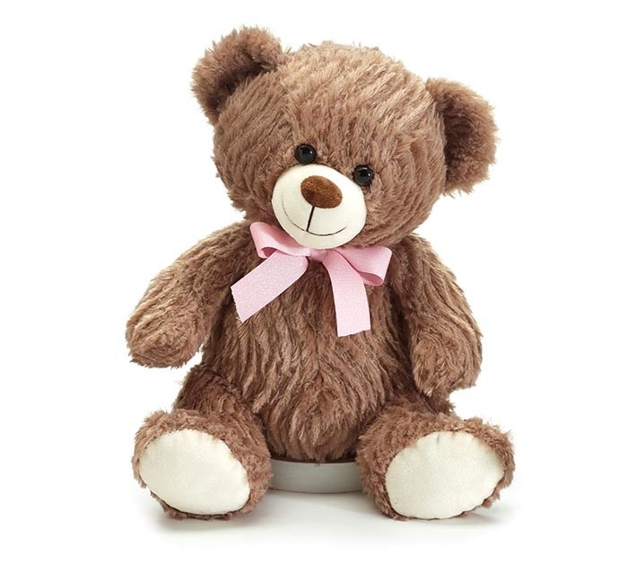 small bear stuffed animal