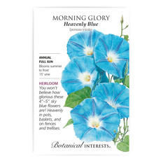 BI Seed, Morning Glory Heavenly Blue