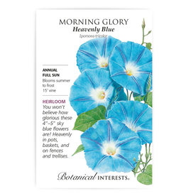 BI Seed, Morning Glory Heavenly Blue