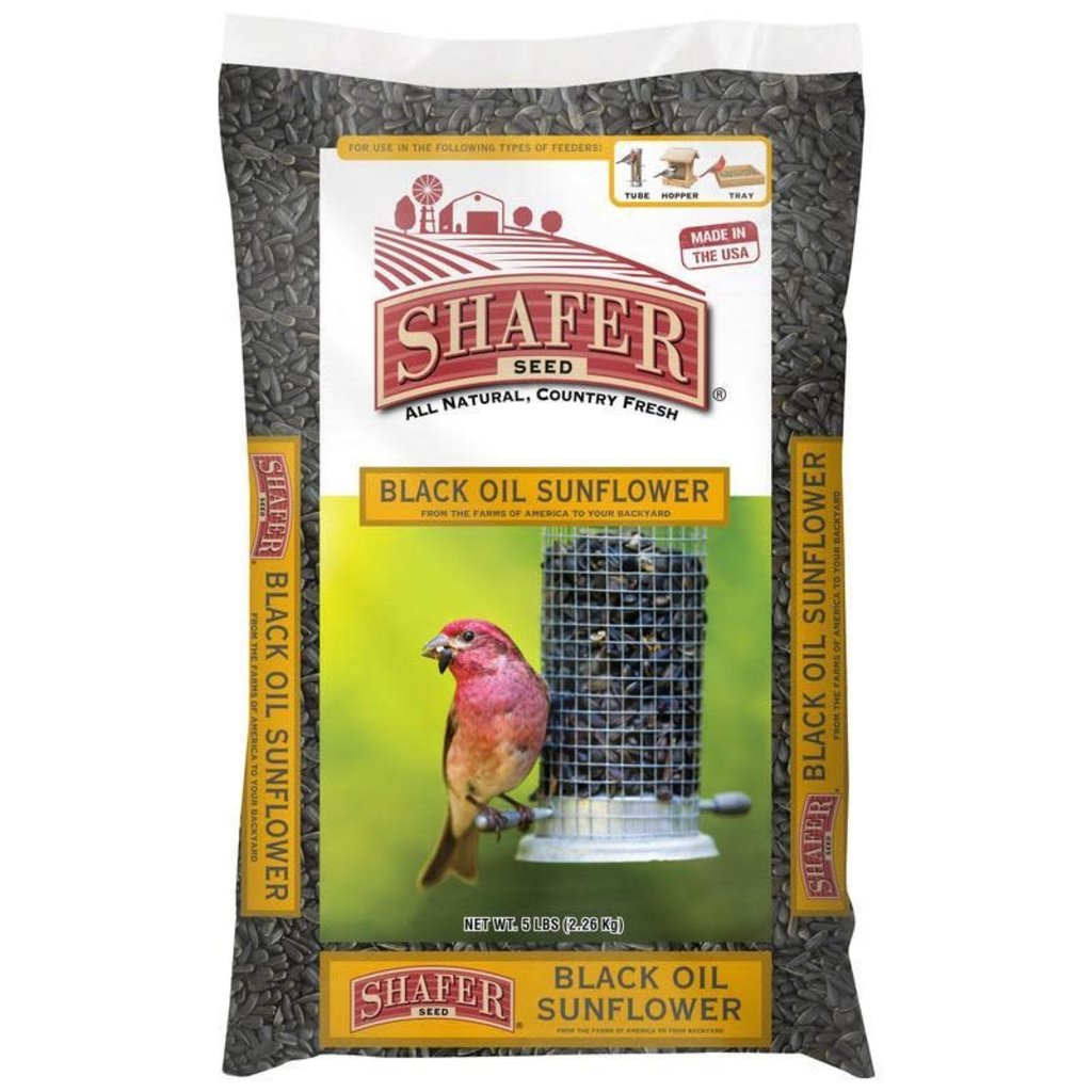 Shafer Seed Shafer Black Oil Sunflower Seed 20#