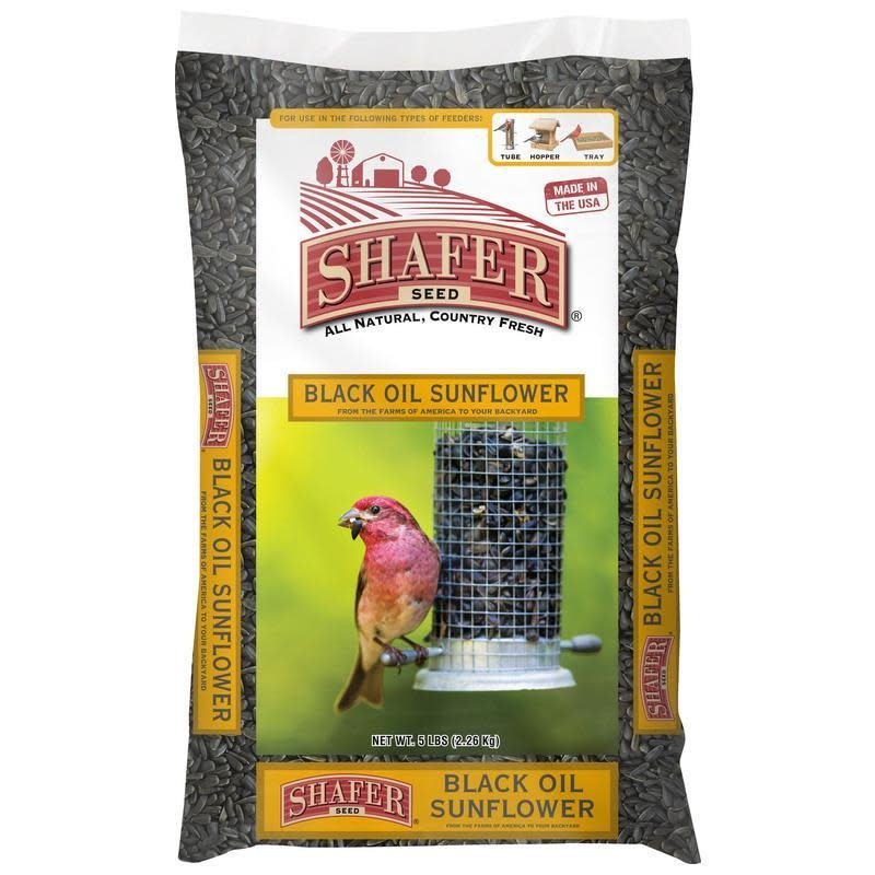 Shafer Seed Shafer Black Oil Sunflower Seed 10#