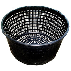 Plant Basket Round 7"