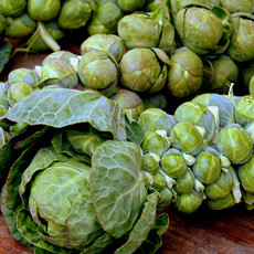 Brussel Sprouts Jade Cross 4 Pack
