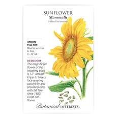 BI Seed, Sunflower Mammoth