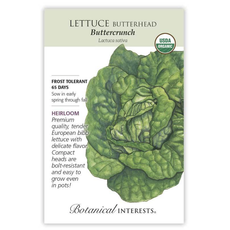BI Seed, Lettuce Butterhead Buttercrunch Org