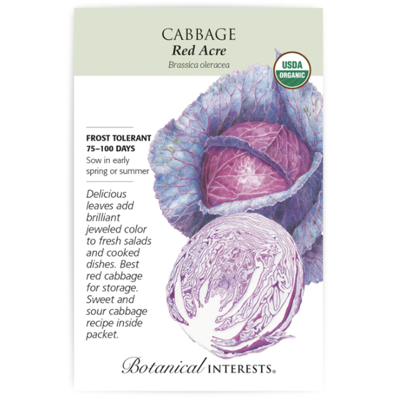 BI Seed, Cabbage Red Acre Org