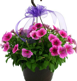 Two Blooming Hanging Baskets