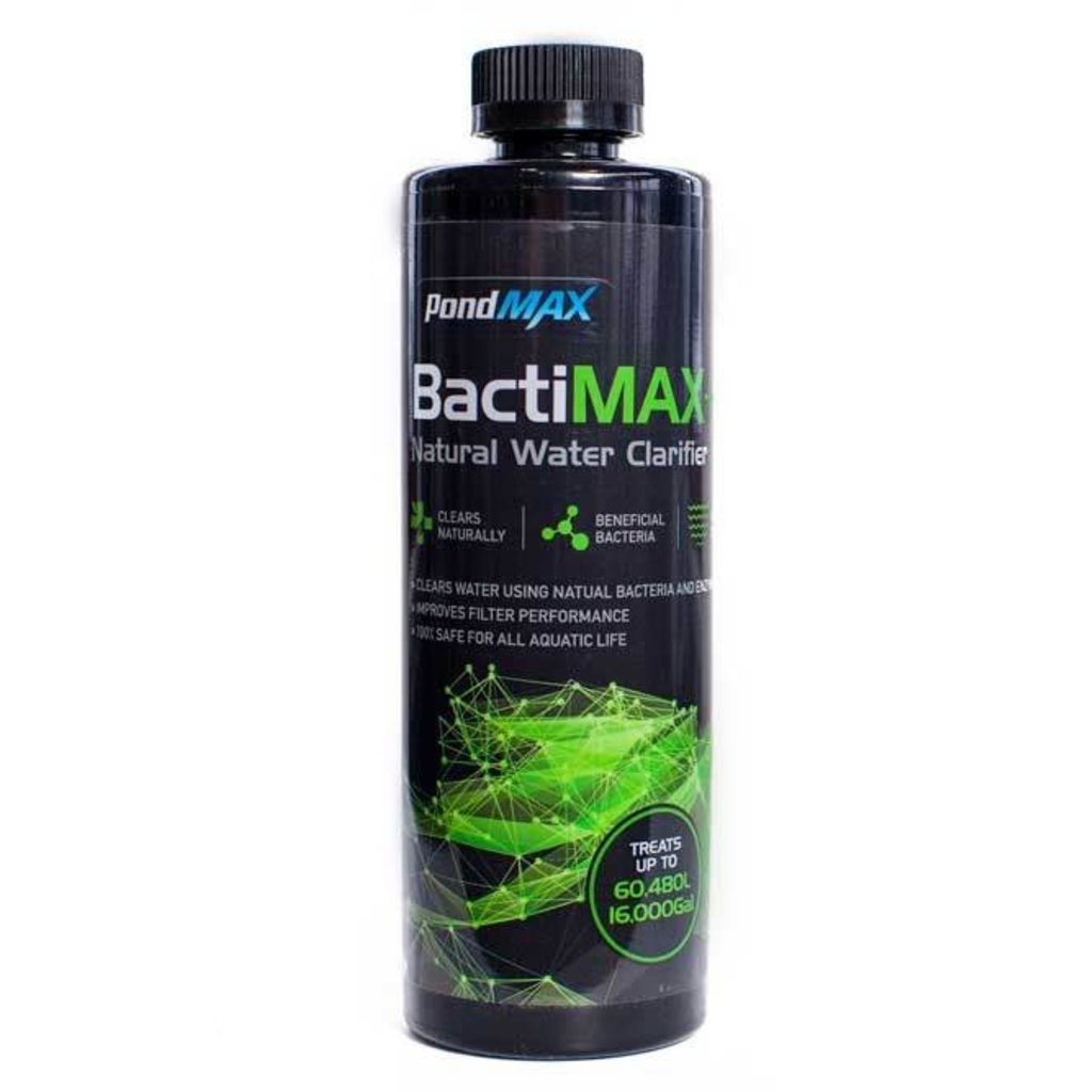 Pondmax Bactimax 16 oz