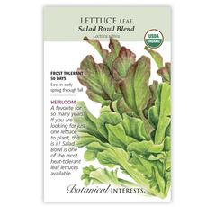 BI Seed, Lettuce Leaf Salad Bowl Org