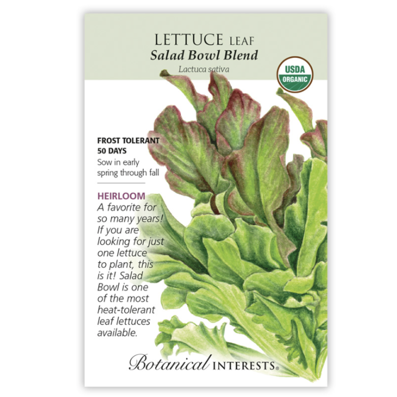 BI Seed, Lettuce Leaf Salad Bowl Org