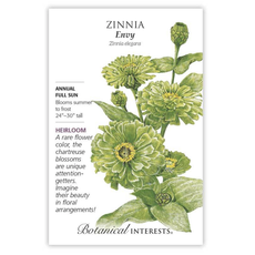 BI Seed, Zinnia Envy