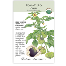 BI Seed, Tomatillo Purple Org