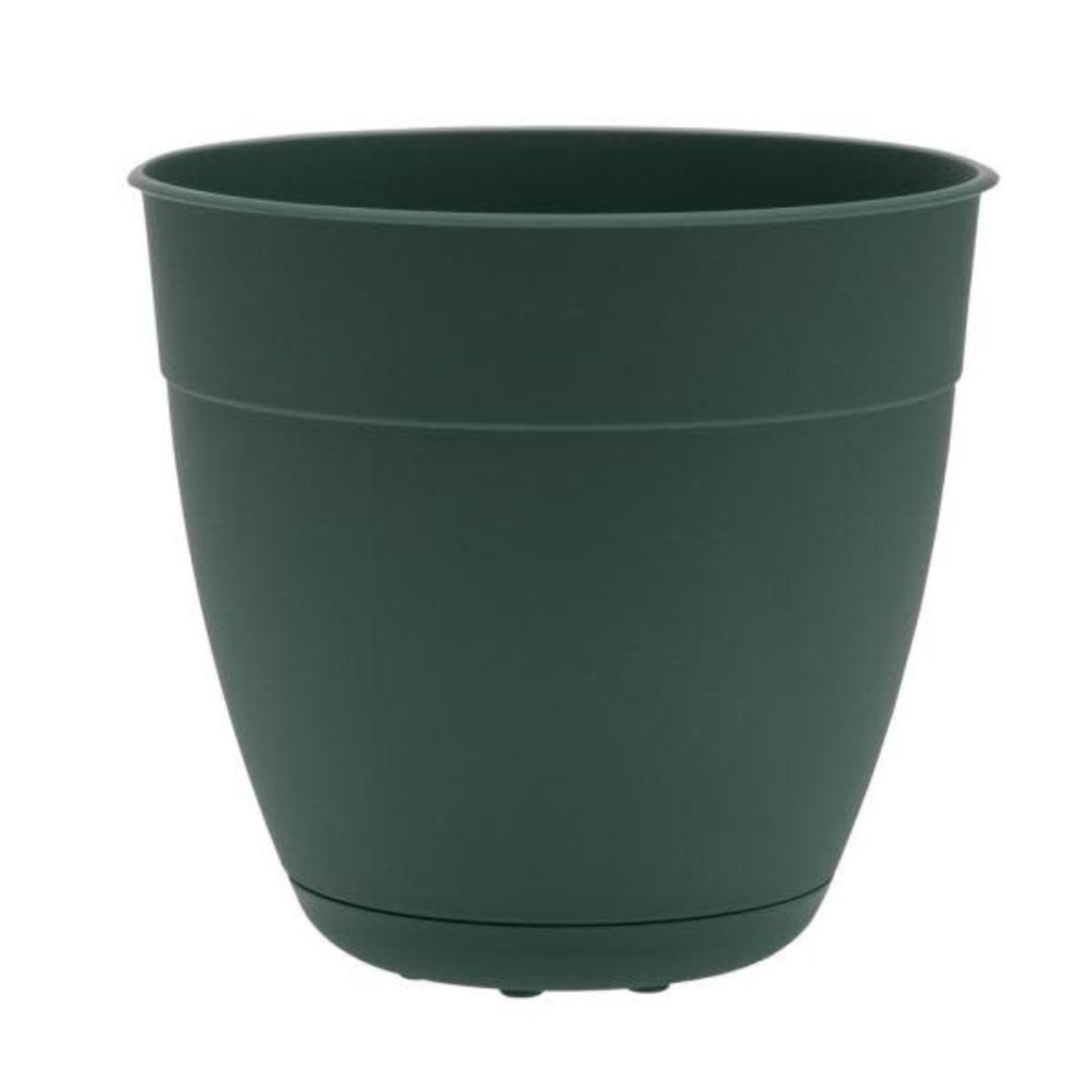 PL Bloem Dayton Planter Turtle Green 12"