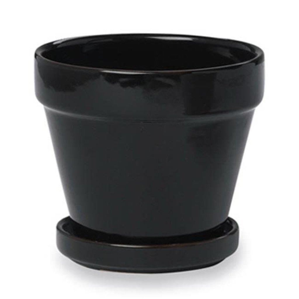 CM Standard Pot w/ Saucer 7.5"