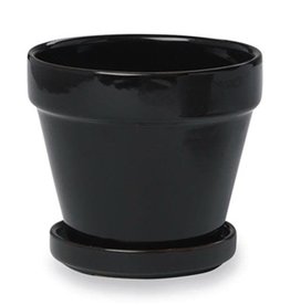 CM Standard Pot w/ Saucer 7.5"