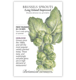 BI Seed, Brussels Sprouts Long Island Improved