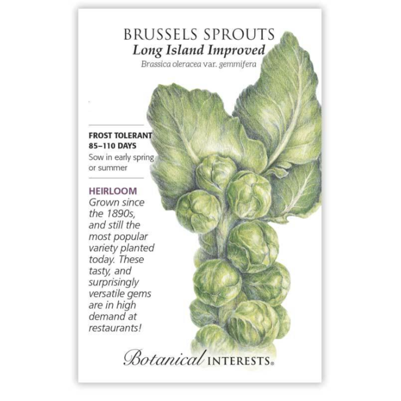 BI Seed, Brussels Sprouts Long Island Improved