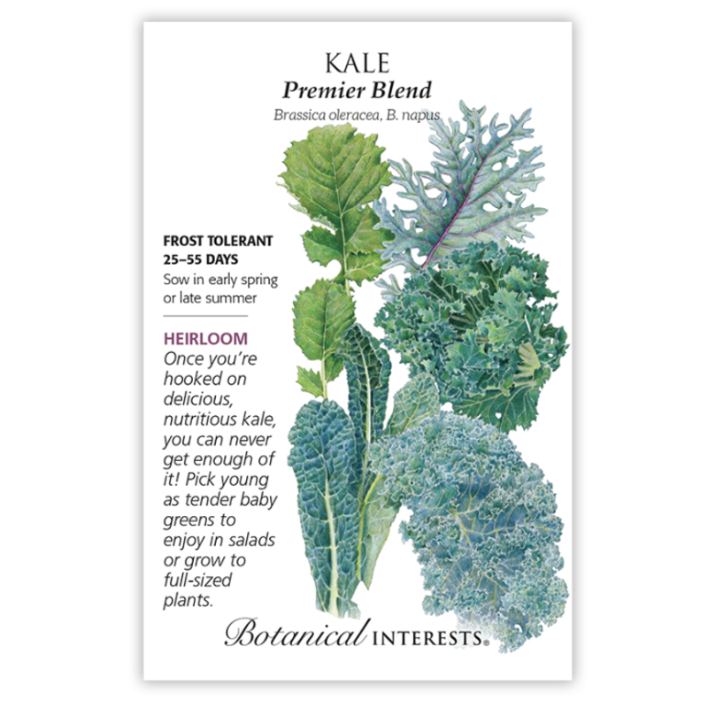 BI Seed, Kale Premier Blend