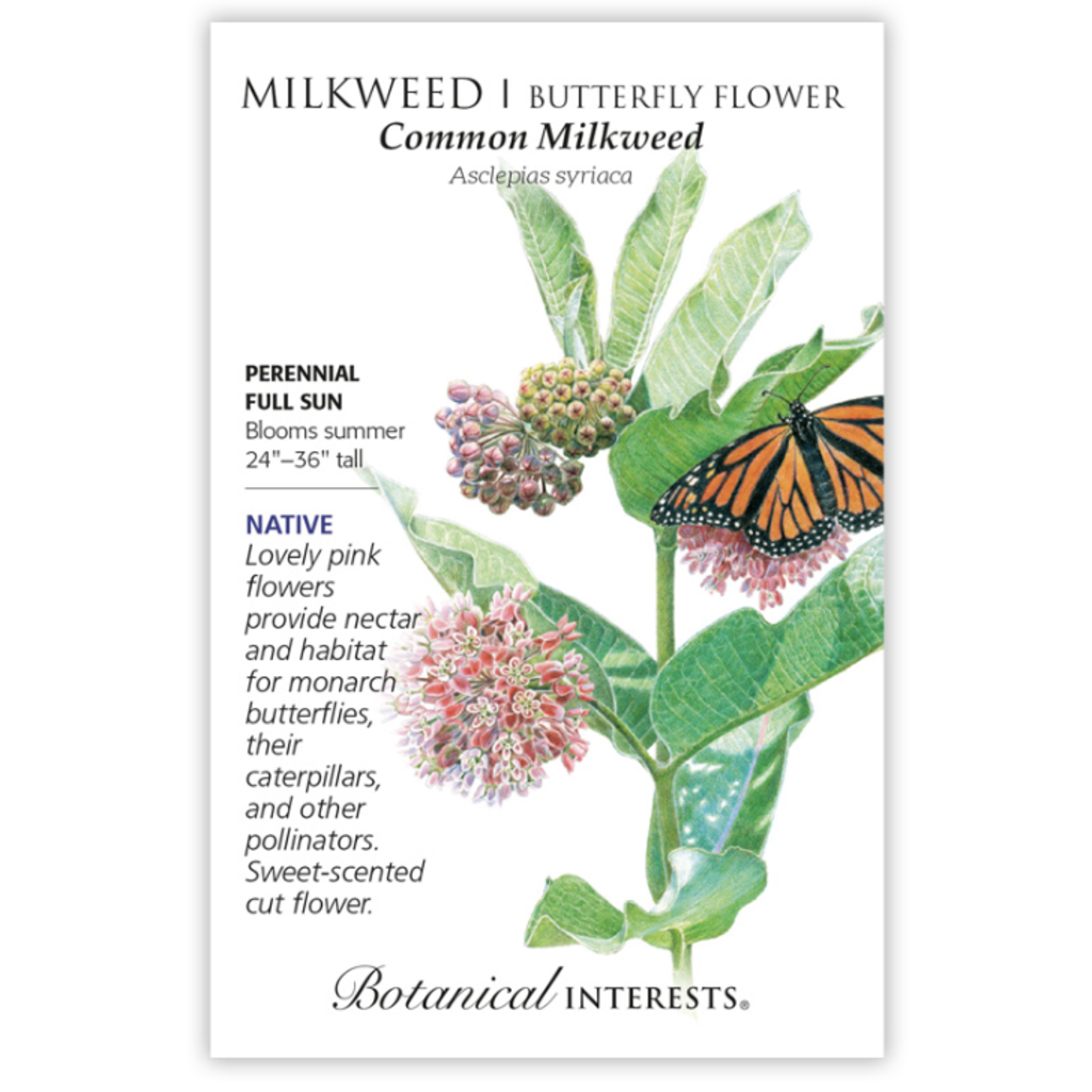 BI Seed, Milkweed Common Org