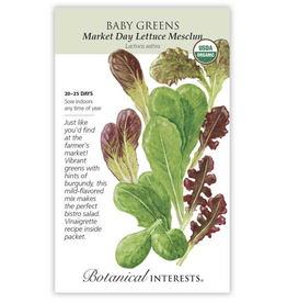 BI Seed, Baby Greens Lettuce Market Day Org