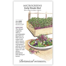 BI Seed, Microgreens Beet Early Wonder
