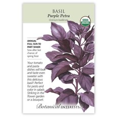 BI Seed, Basil Purple Petra Org