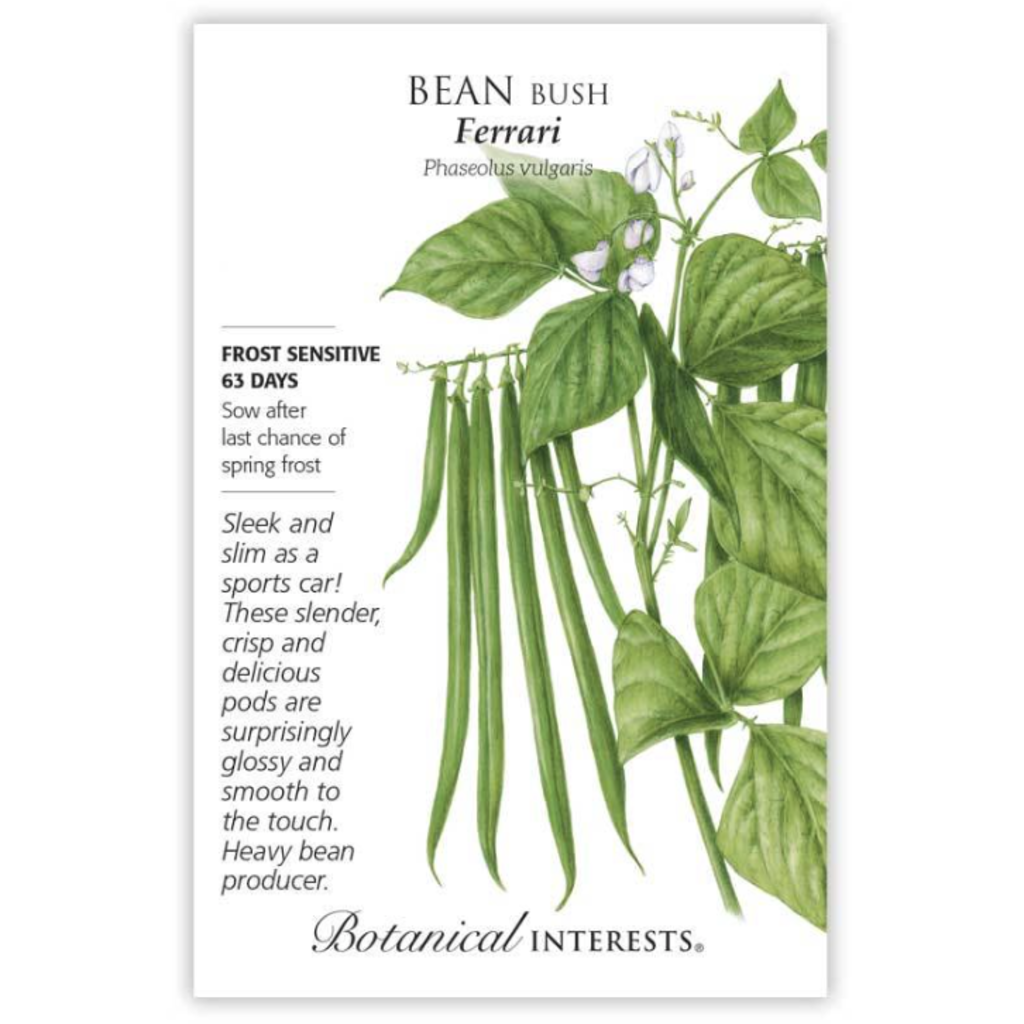 BI Seed, Bean Bush Green Ferrari