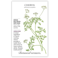 BI Seed, Chervil