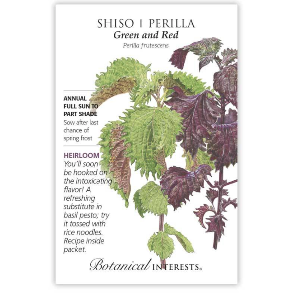 BI Seed, Shiso/Perilla Green & Red