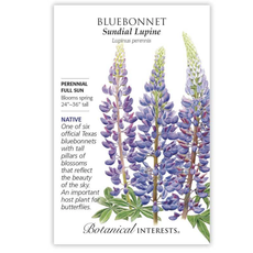 BI Seed, Bluebonnet Sundial Lupine