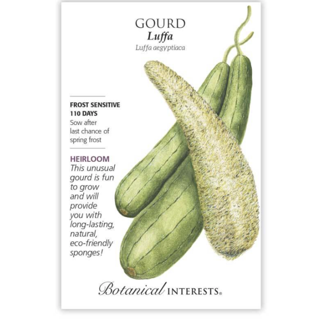 BI Seed, Gourd Luffa