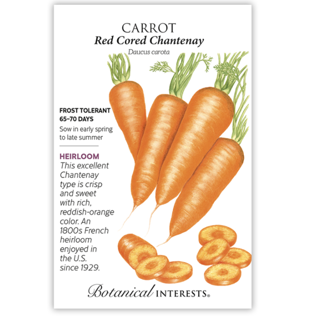 BI Seed, Carrot Red Cored Chantenay
