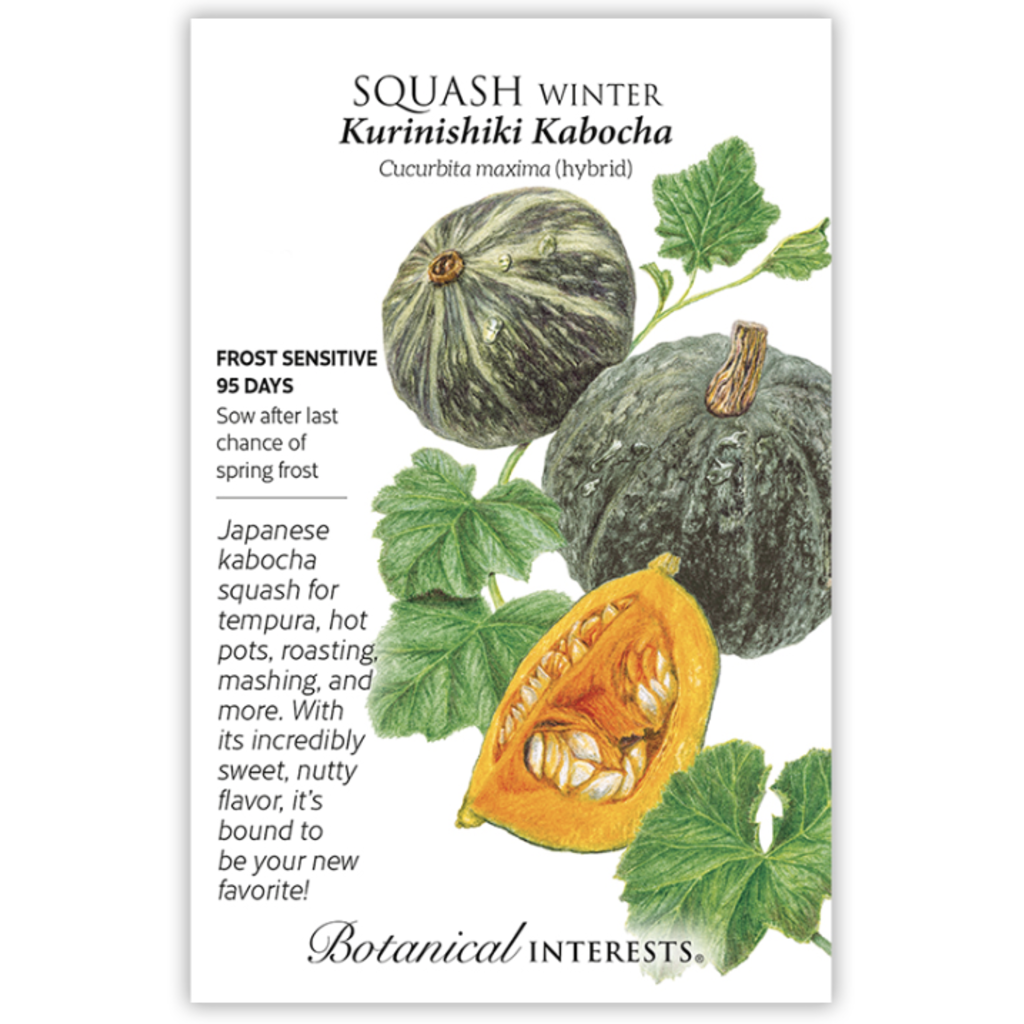 BI Seed, Squash Winter Kabocha