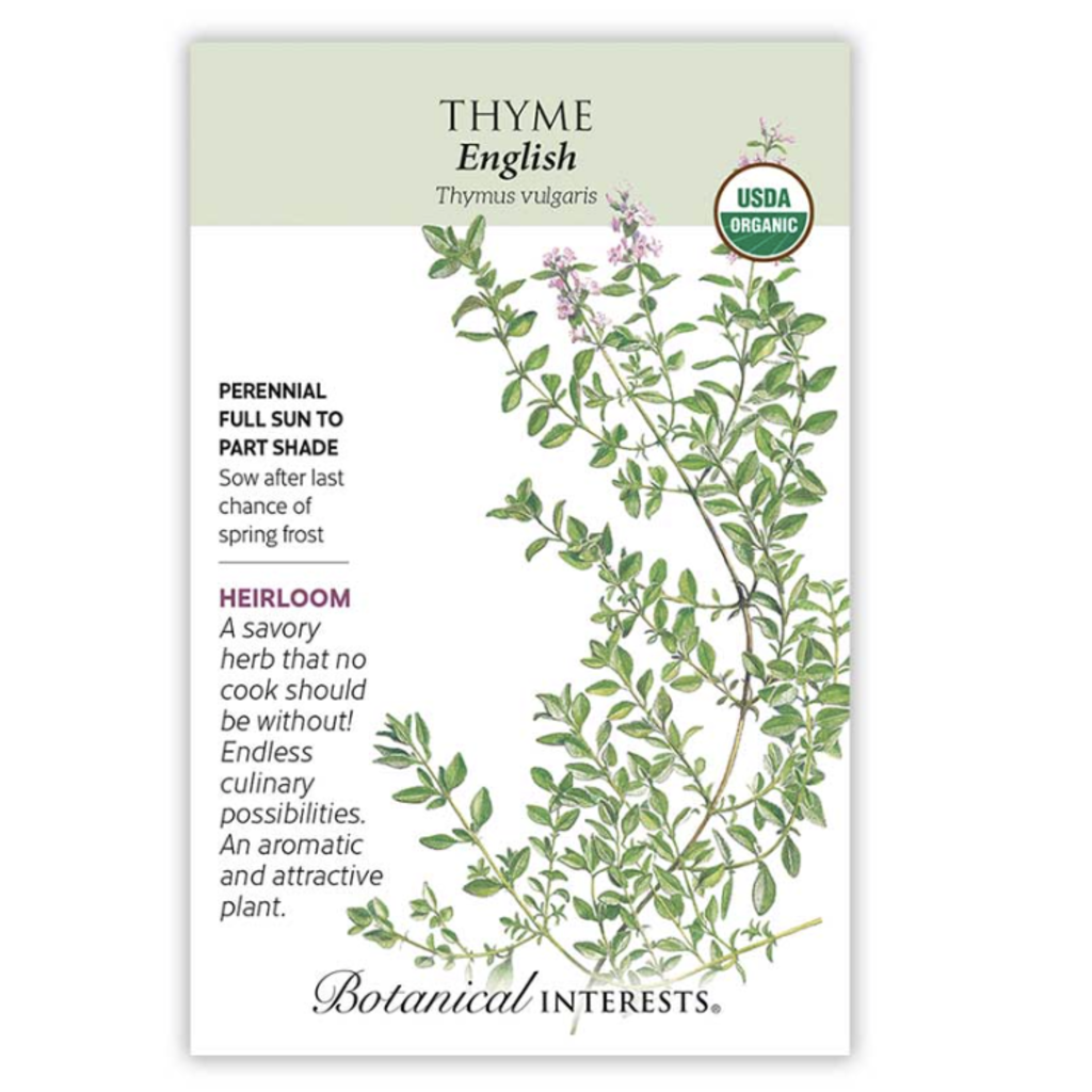 English Thyme Seeds (Organic)