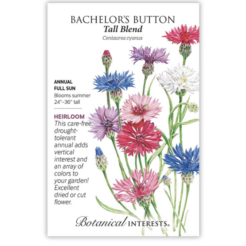 BI Seed, Bachelor Button Tall Blend
