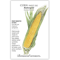 BI Seed, Corn Sweet Buttergold 30g