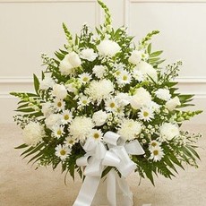 Graceful in White Urn