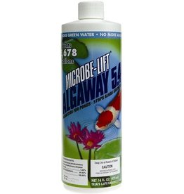 Microbe Lift Algaway 16oz