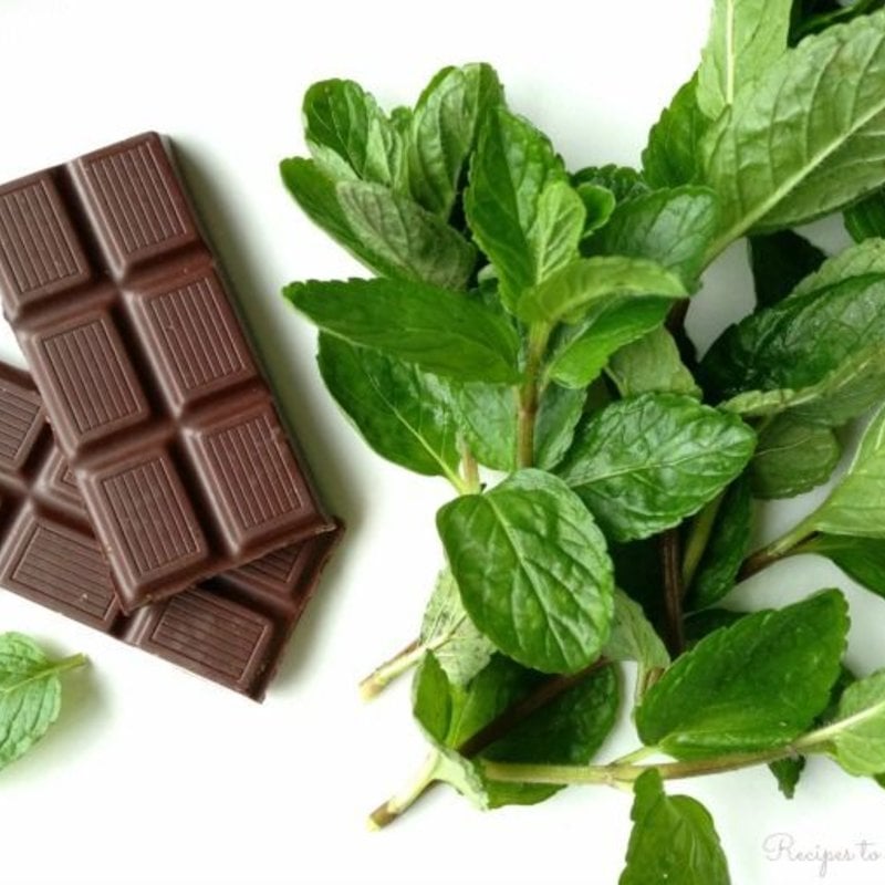 Mint Chocolate Peppermint 4.5