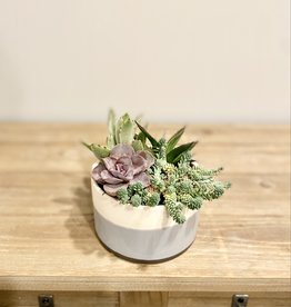 Succulent Rowan Bowl 5"