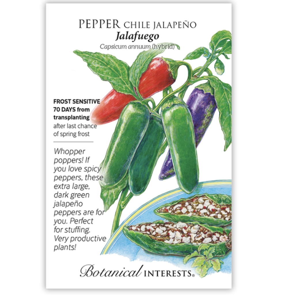 BI Seed, Pepper Chile Jalapeno Jalafuego