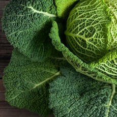 Savoy Ace Cabbage 4 Pack