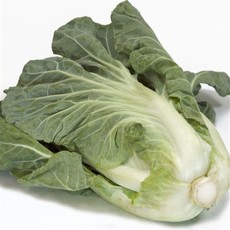 Sweet Thang Cabbage 4 Pack