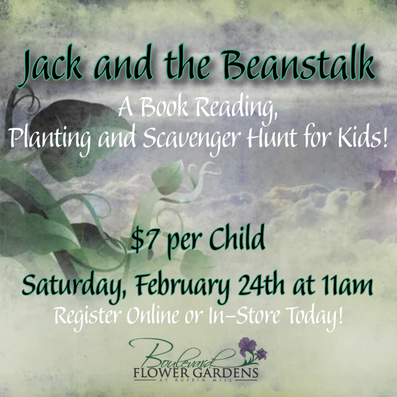 Kid's Class: Jack & the Beanstalk, Sat 2/24 @ 11am