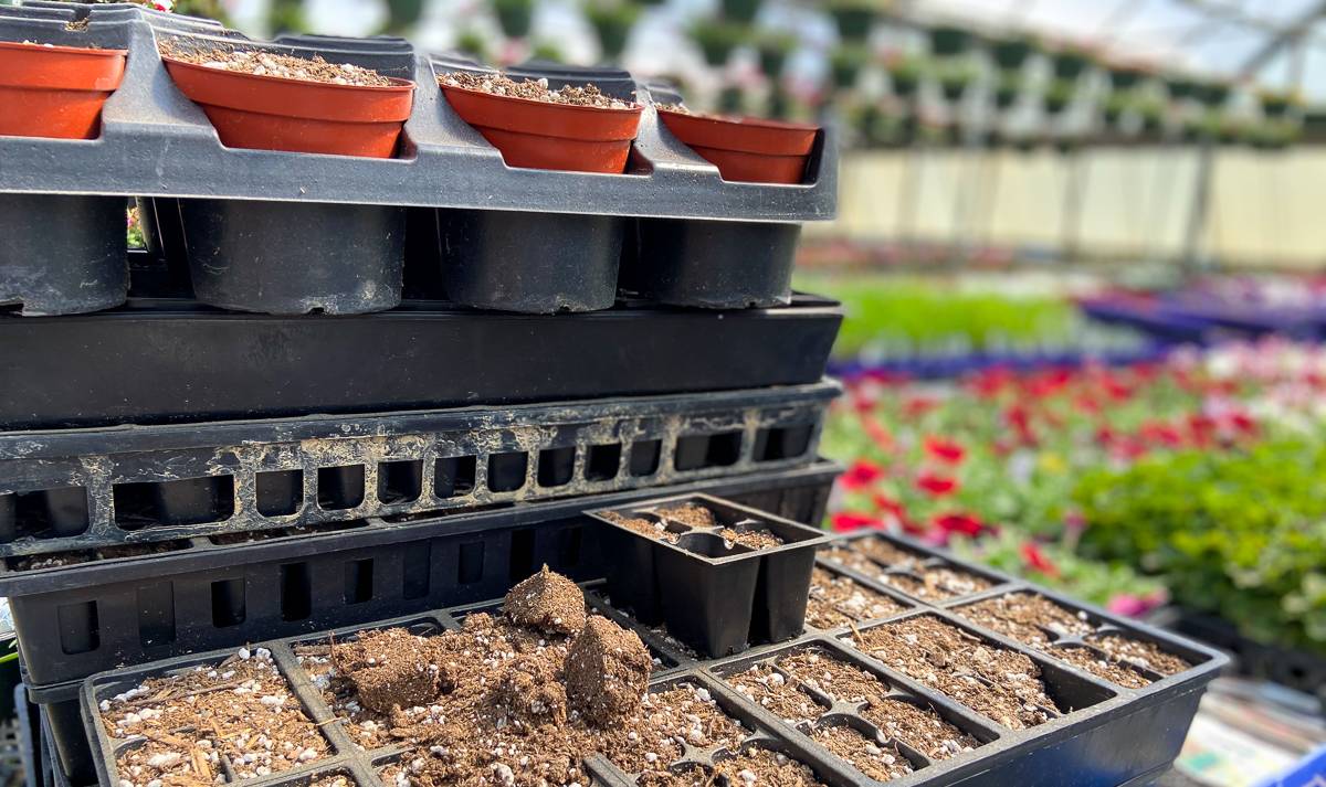 Boulevard Flower Gardens