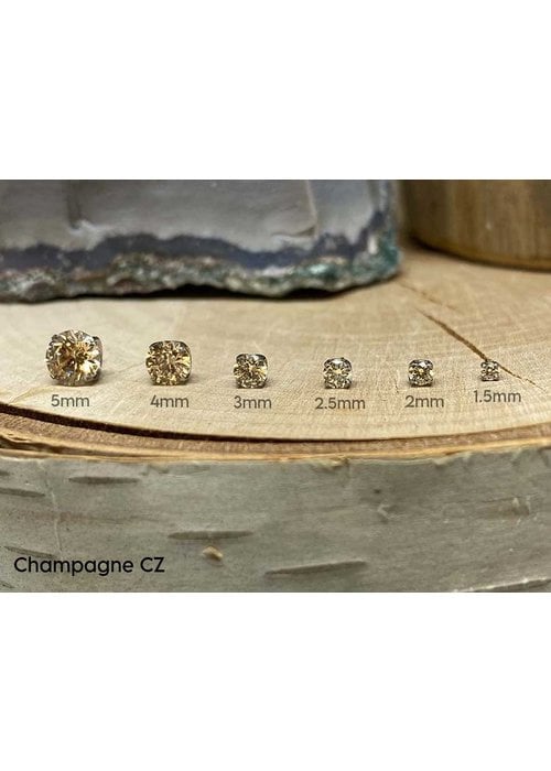 Body Gems Cicada 14k White Gold Threadless - Mom's Jewelry