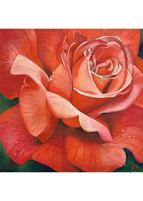 Rose canvas print - Beth Swilling